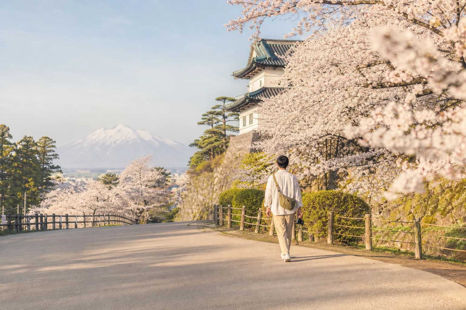 桜が咲く弘前を旅する人
